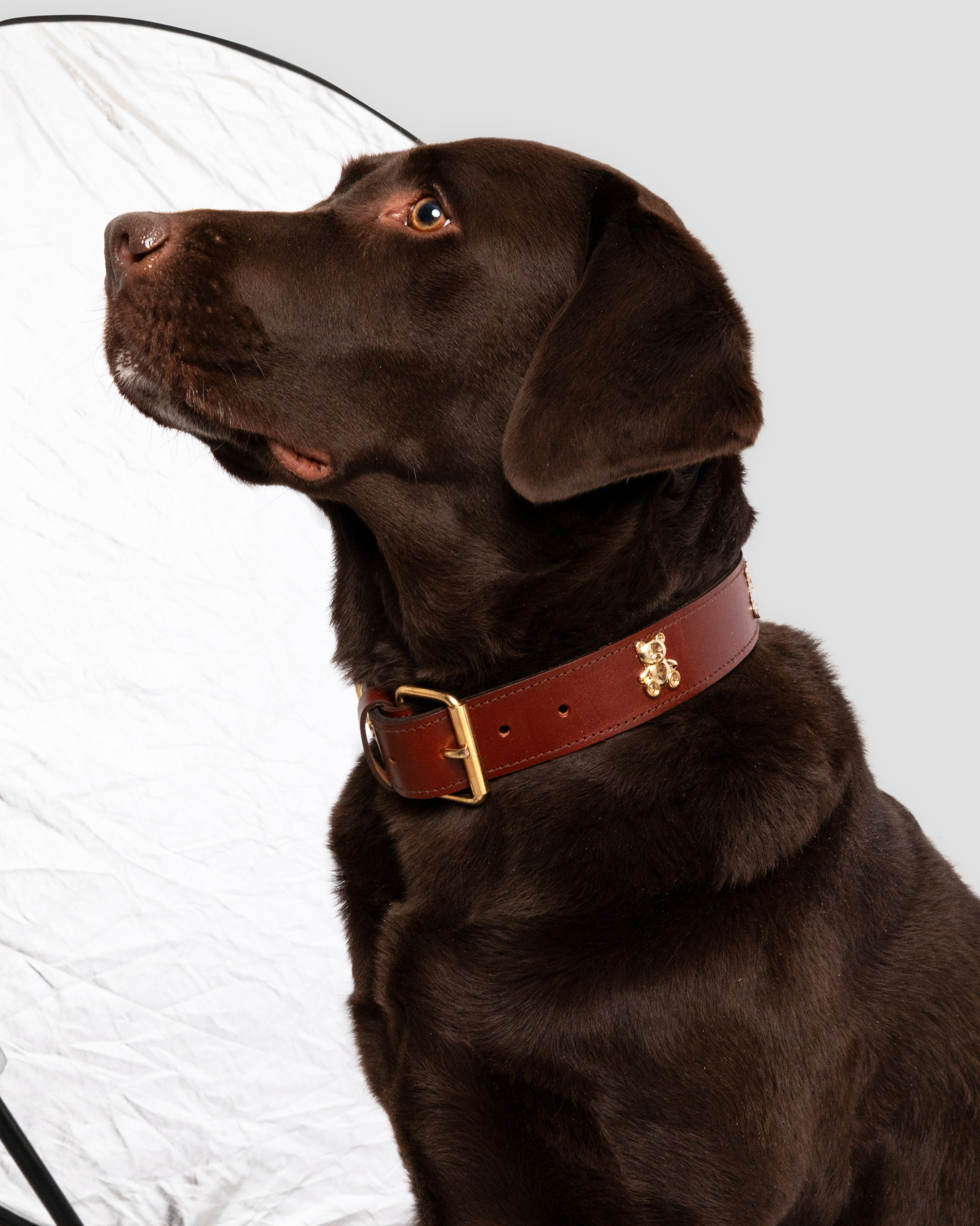 Teddy Dog Collar de Mom's Goods · detalle 5