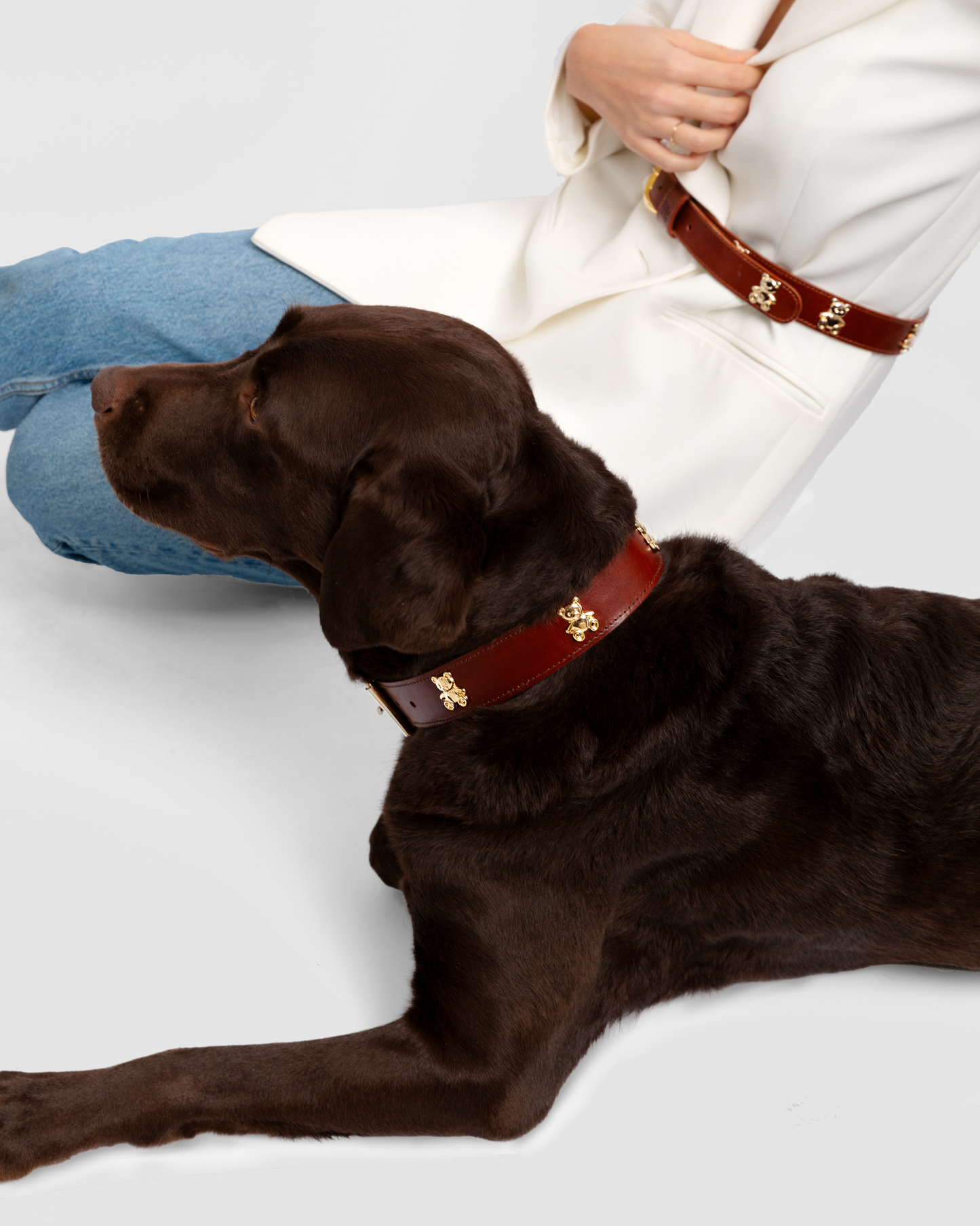Teddy Dog Collar de Mom's Goods · detalle 3