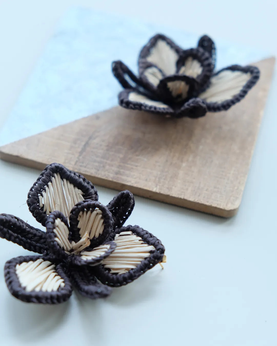 Pendientes Orquidea Beige Black de Coper · detalle 4